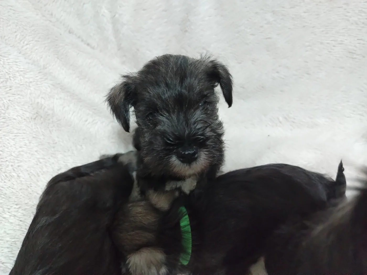 Post-adoption support