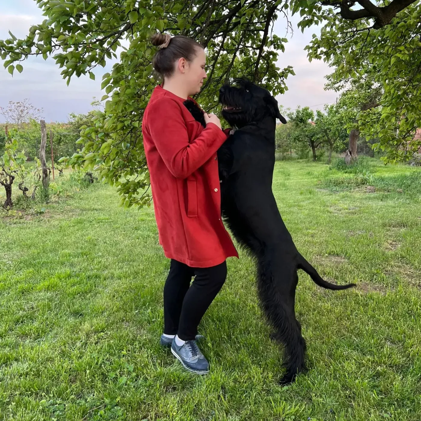 A story that began out of love for dogs